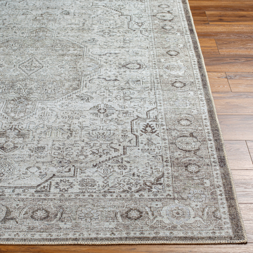 Surya Amelie AML-2368 Charcoal Area Rug - Image 3