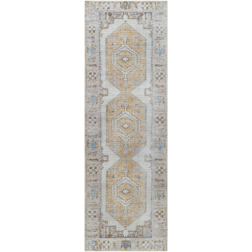 Surya Amelie AML-2369 Denim Area Rug