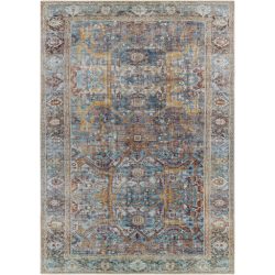 Surya Amelie AML-2370 Aqua Area Rug