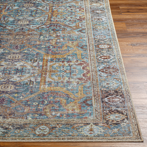 Surya Amelie AML-2370 Aqua Area Rug - Image 3