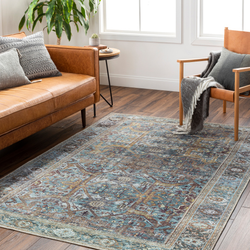 Surya Amelie AML-2370 Aqua Area Rug - Image 2