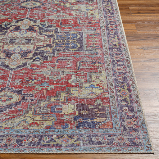 Surya Amelie AML-2372 Burgundy Area Rug - Image 3