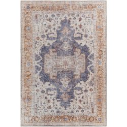 Surya Amelie AML-2374 Brown Area Rug