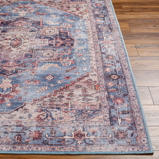 Surya Amelie AML-2377 Aqua Area Rug - Image 2