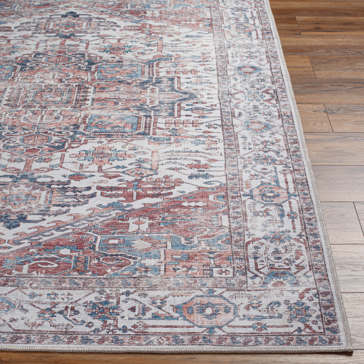 Surya Amelie AML-2378 Burgundy Area Rug - Image 3