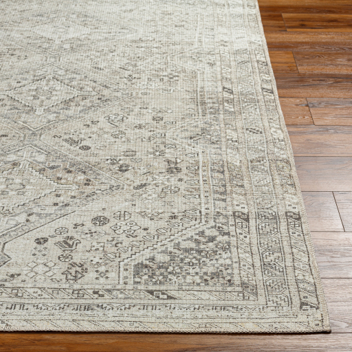 Surya Amelie AML-2379 Charcoal Area Rug - Image 3