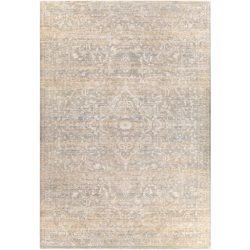 Surya Amore AMO-2324 Beige Area Rug