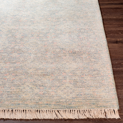 Surya Amasya AMY-2301 Dusty Sage Area Rug - Image 2