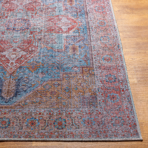 Surya Atlanta ANL-2303 Aqua Area Rug - Image 3