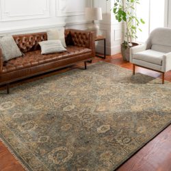 Surya Anatolia ANY-2302 Brown Area Rug