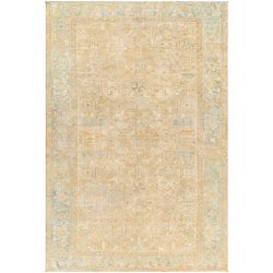 Surya Antique One of a Kind AOOAK-1063 Area Rug