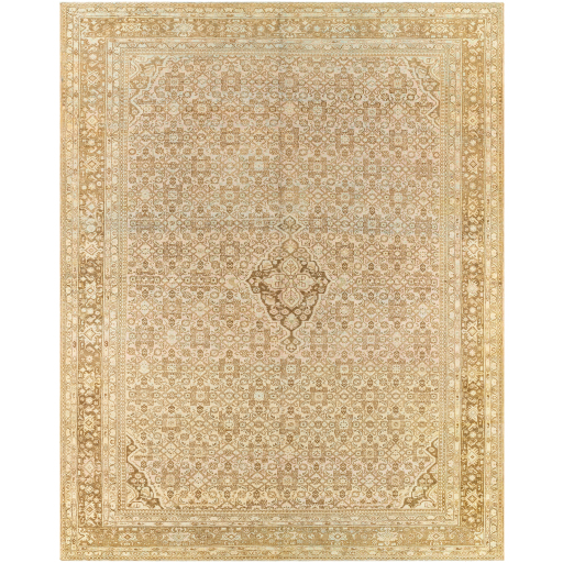 Surya Antique One of a Kind AOOAK-1070 Area Rug