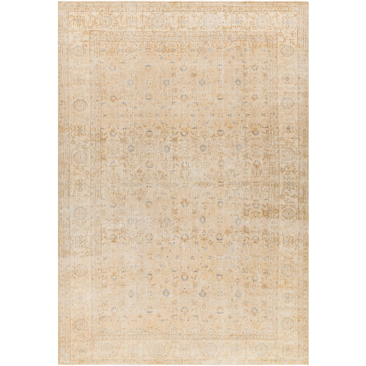 Surya Antique One of a Kind AOOAK-1080 Area Rug