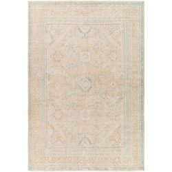 Surya Antique One of a Kind AOOAK-1089 Area Rug