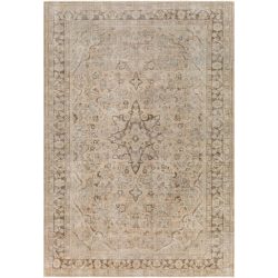 Surya Antique One of a Kind AOOAK-1123 Area Rug