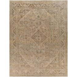 Surya Antique One of a Kind AOOAK-1134 Area Rug