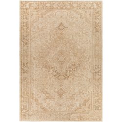Surya Antique One of a Kind AOOAK-1143 Area Rug