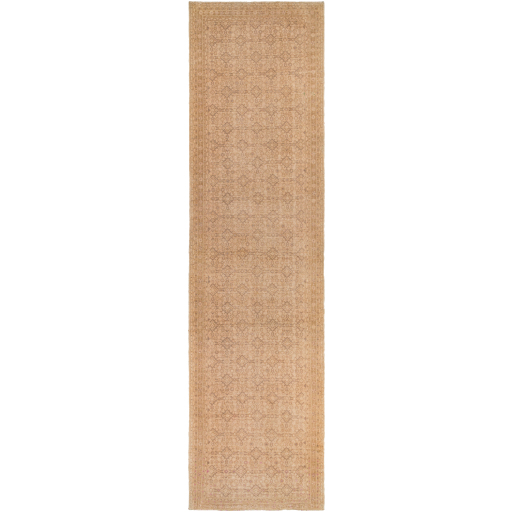 Surya Antique One of a Kind AOOAK-1144 Area Rug