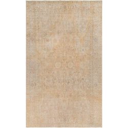 Surya Antique One of a Kind AOOAK-1149 Area Rug