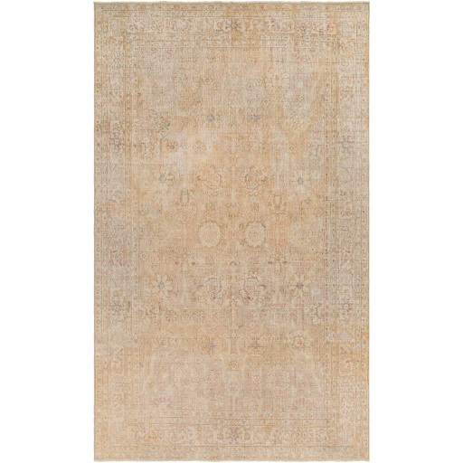 Surya Antique One of a Kind AOOAK-1149 Area Rug
