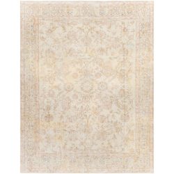 Surya Antique One of a Kind AOOAK-1161 Area Rug