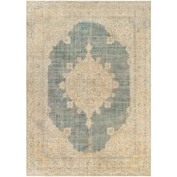 Surya Antique One of a Kind AOOAK-1164 Area Rug