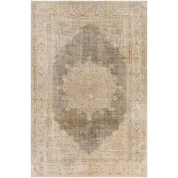 Surya Antique One of a Kind AOOAK-1165 Area Rug