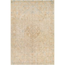 Surya Antique One of a Kind AOOAK-1191 Area Rug