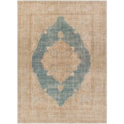 Surya Antique One of a Kind AOOAK-1220 Area Rug