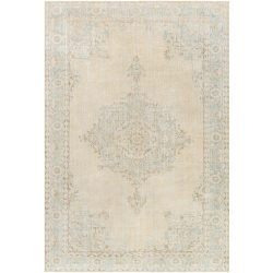Surya Antique One of a Kind AOOAK-1231 Area Rug