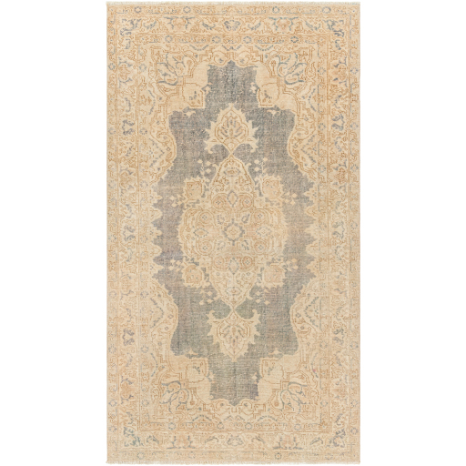 Surya Antique One of a Kind AOOAK-1253 Area Rug
