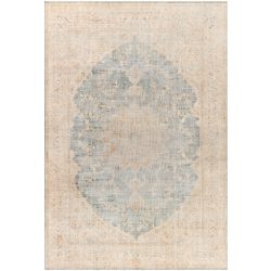 Surya Antique One of a Kind AOOAK-1256 Area Rug