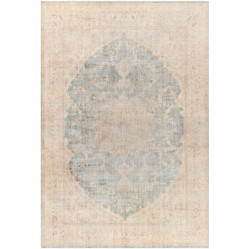 Surya Antique One of a Kind AOOAK-1256 Area Rug