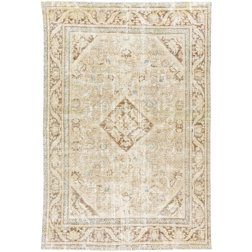 Surya Antique One of a Kind AOOAK-1579 Area Rug