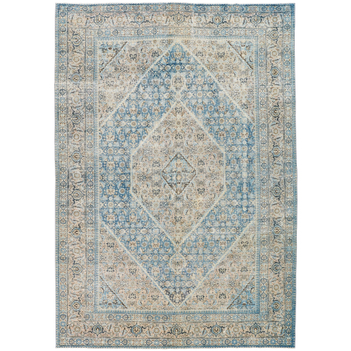 Surya Antique One of a Kind AOOAK-1636 Area Rug