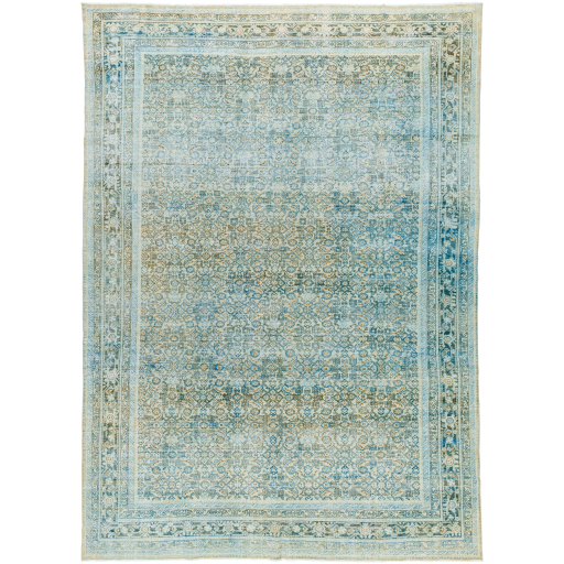Surya Antique One of a Kind AOOAK-1641 Area Rug