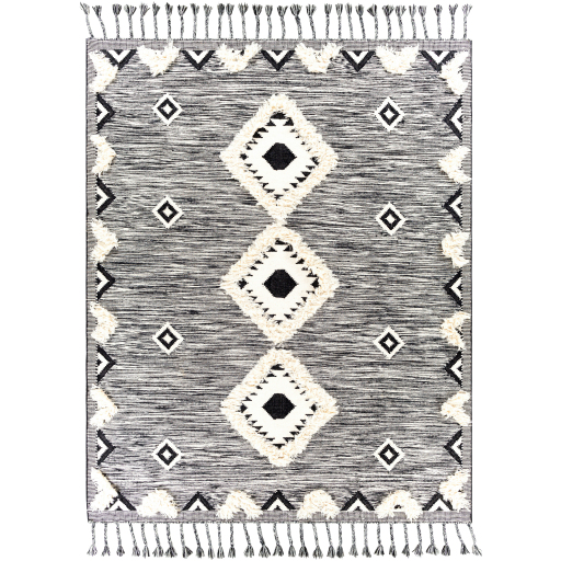 Surya Apache APA-2302 Black Area Rug