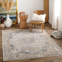 Surya Aspendos APS-2303 Beige Area Rug