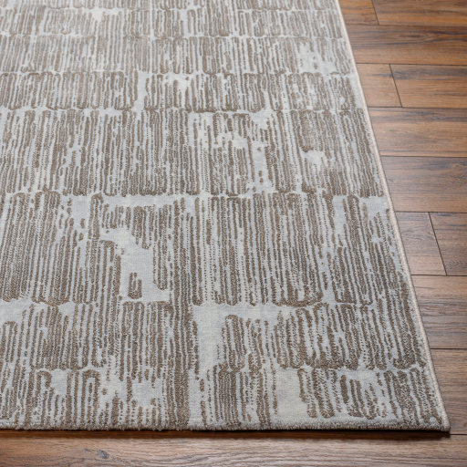 Surya Avshar AVH-2302 Cream Area Rug - Image 2