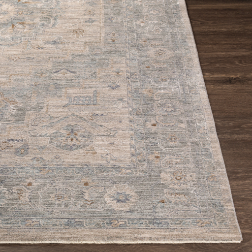 Surya Avant Garde AVT-2302 Brown Area Rug - Image 2