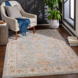 Surya Avant Garde AVT-2318 Brick Red Area Rug