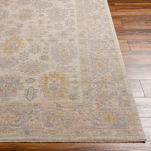 Surya Avant Garde AVT-2353 Charcoal Area Rug - Image 2