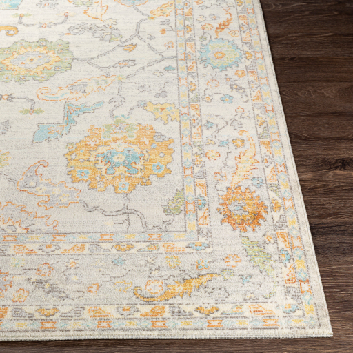Surya Bodrum BDM-2311 Brown Area Rug - Image 2