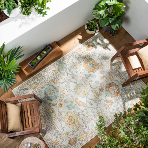 Surya Bodrum BDM-2311 Brown Area Rug