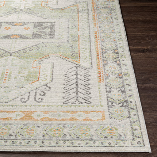 Surya Bodrum BDM-2337 Brick Red Area Rug - Image 3