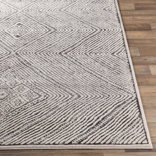 Surya Bahar BHR-2325 Charcoal Area Rug - Image 3