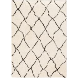 Surya Beni Shag BSH-2312 Black Area Rug