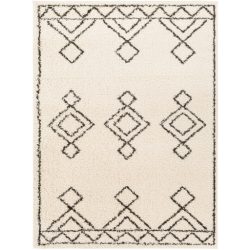 Surya Beni Shag BSH-2314 Black Area Rug