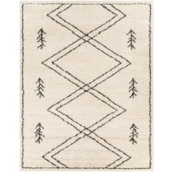 Surya Beni Shag BSH-2315 Black Area Rug