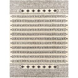 Surya Beni Shag BSH-2323 Black Area Rug